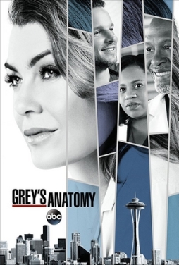 Greys-anatomy-S14