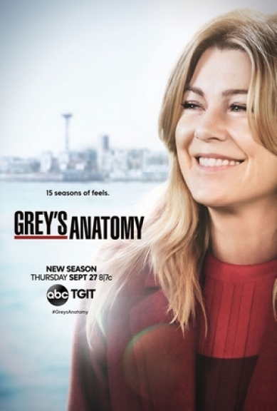 Grey's Anatomy S15 - 17 épisodes