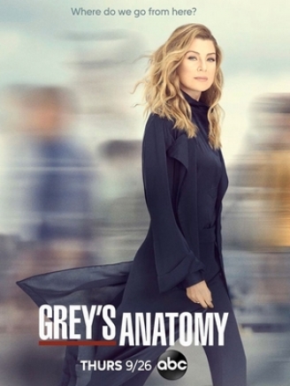 Grey's Anatomy S16 - 9 épisodes